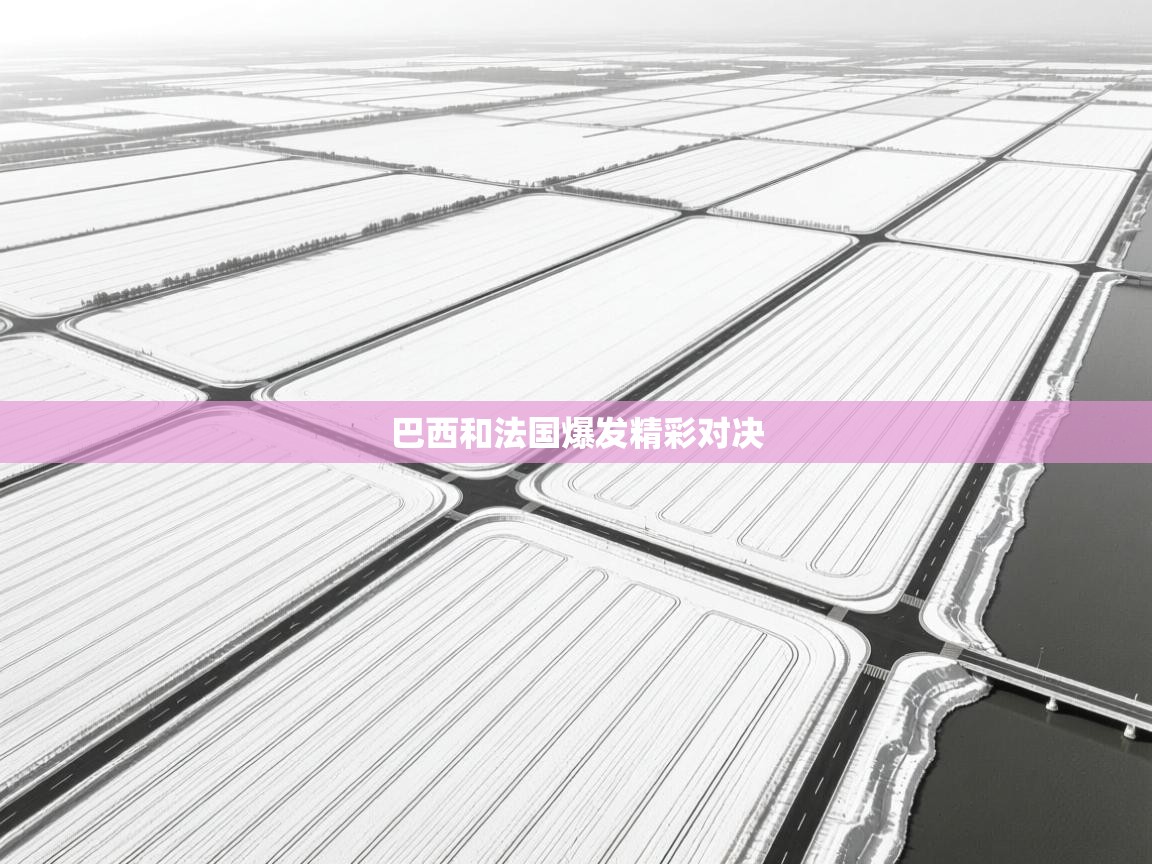 巴西和法国爆发精彩对决  第1张