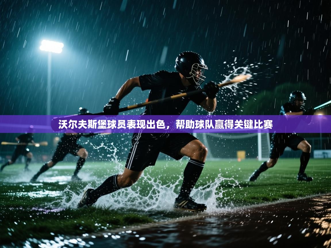 沃尔夫斯堡球员表现出色，帮助球队赢得关键比赛  第2张