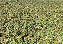 爱游戏官方登录入口-北美精英卓越出击气吞山河