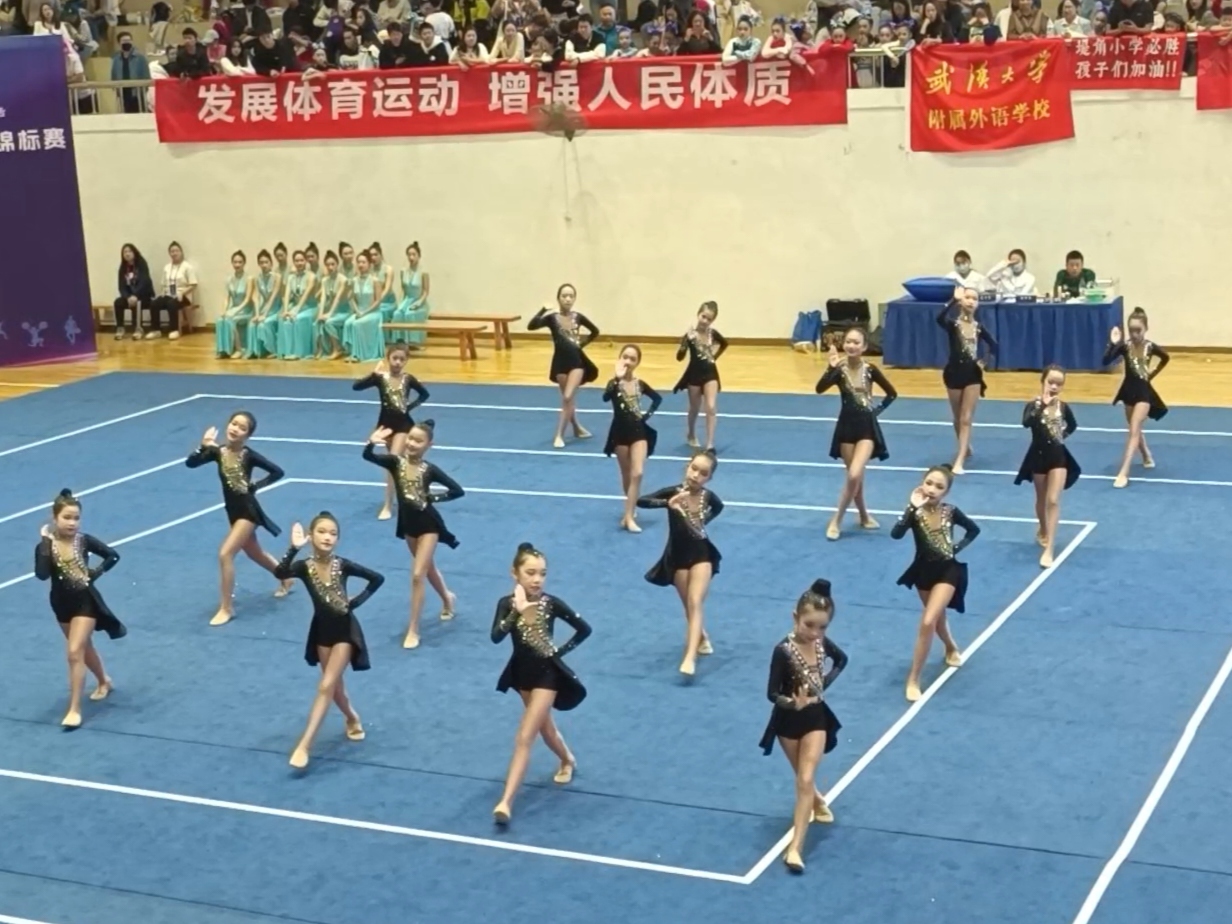 体操项目中团队合作取得佳绩 体操项目中团队合作取得佳绩