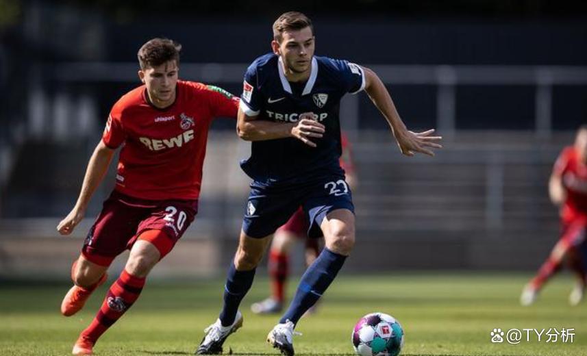 波鸿主场再败，排名暴跌引发球迷担忧的简单介绍